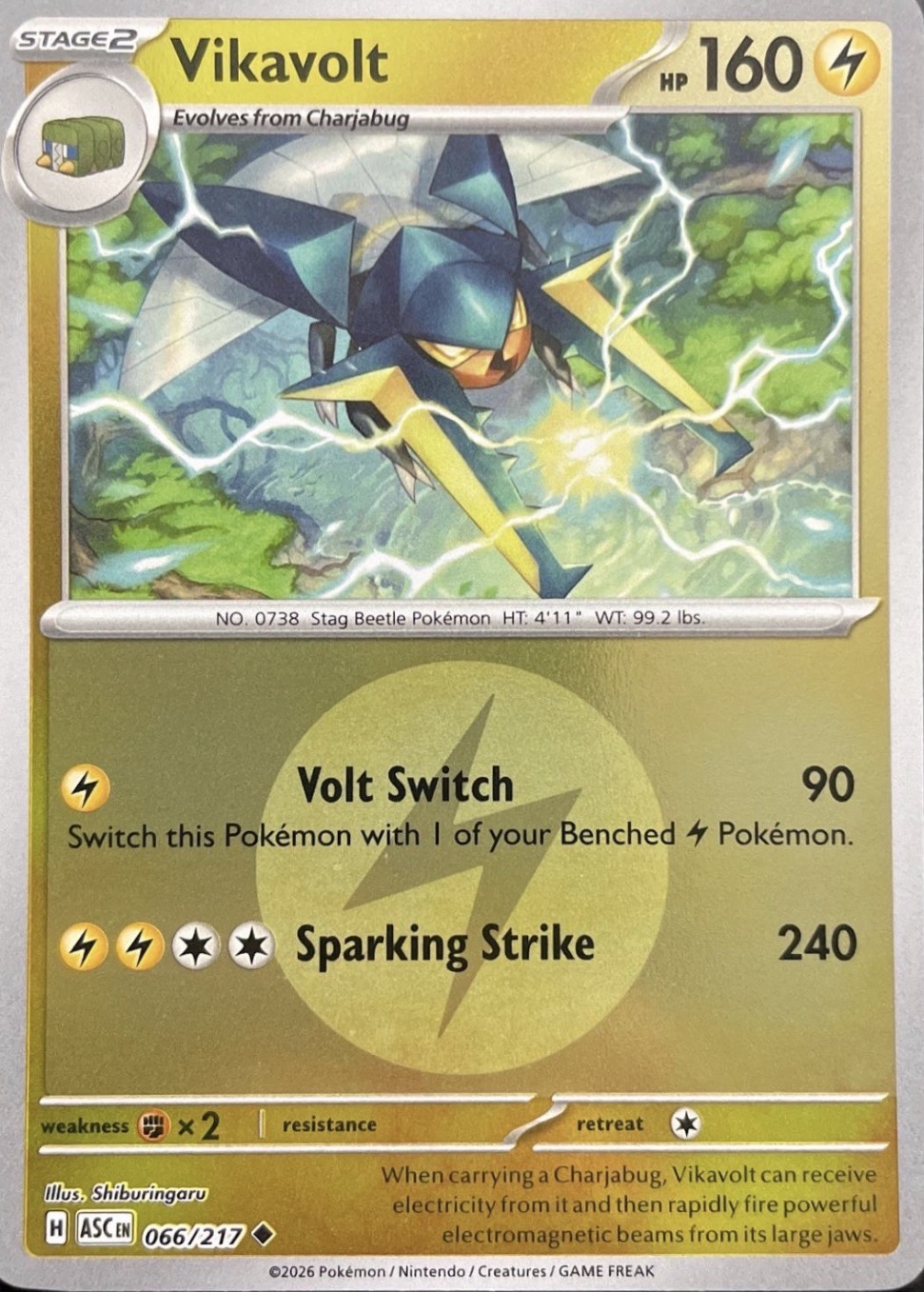 Vikavolt - 066/217 (Energy Symbol Pattern)