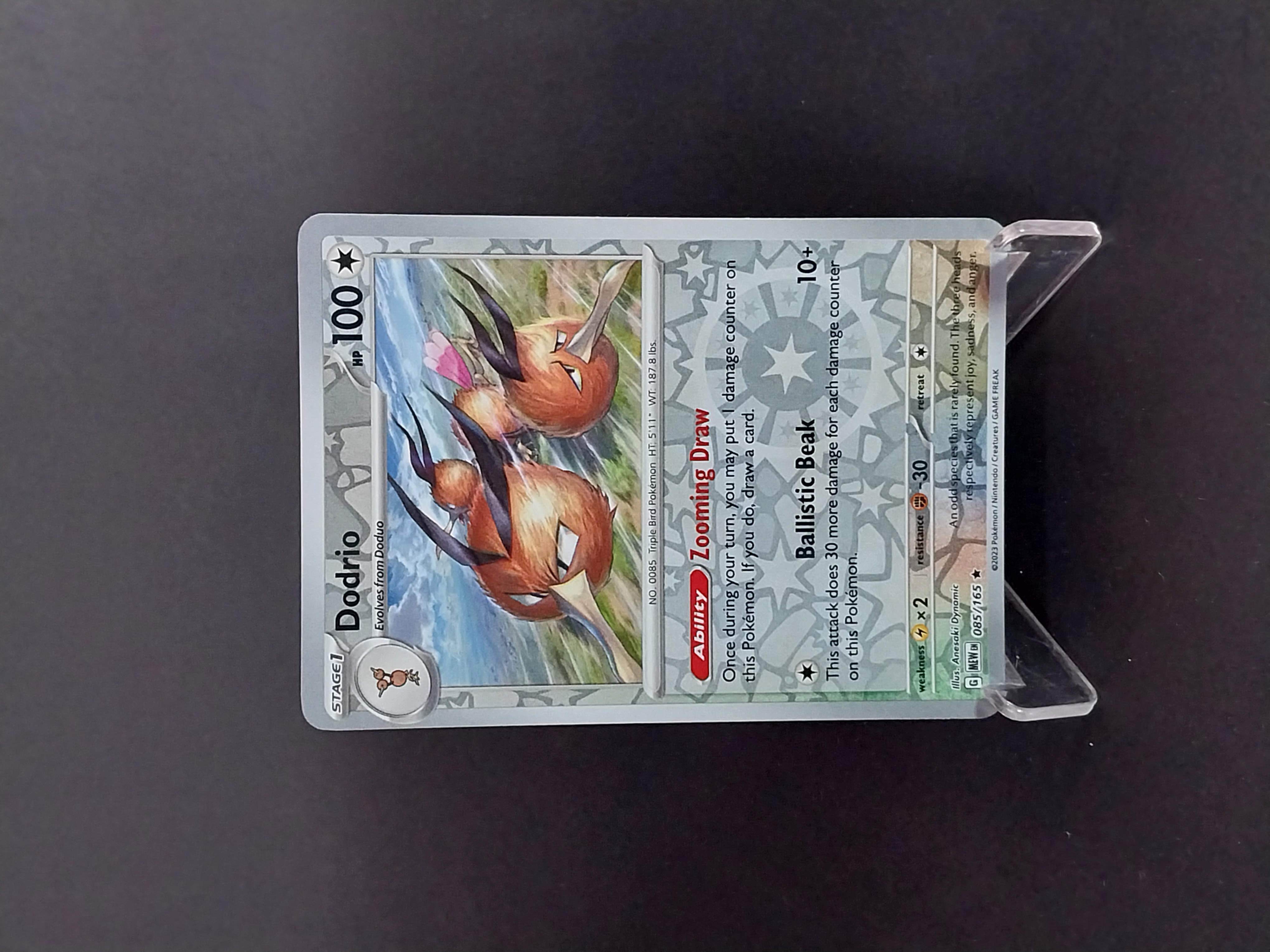 Dodrio - TCGmatch Chile