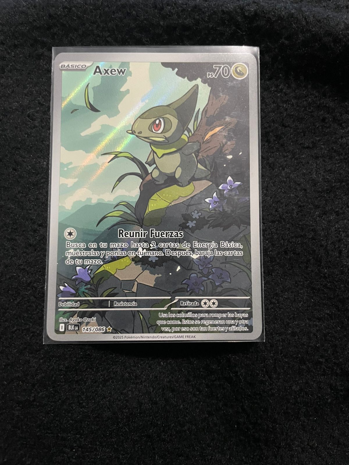 Axew - 145/086 - TCGmatch Chile