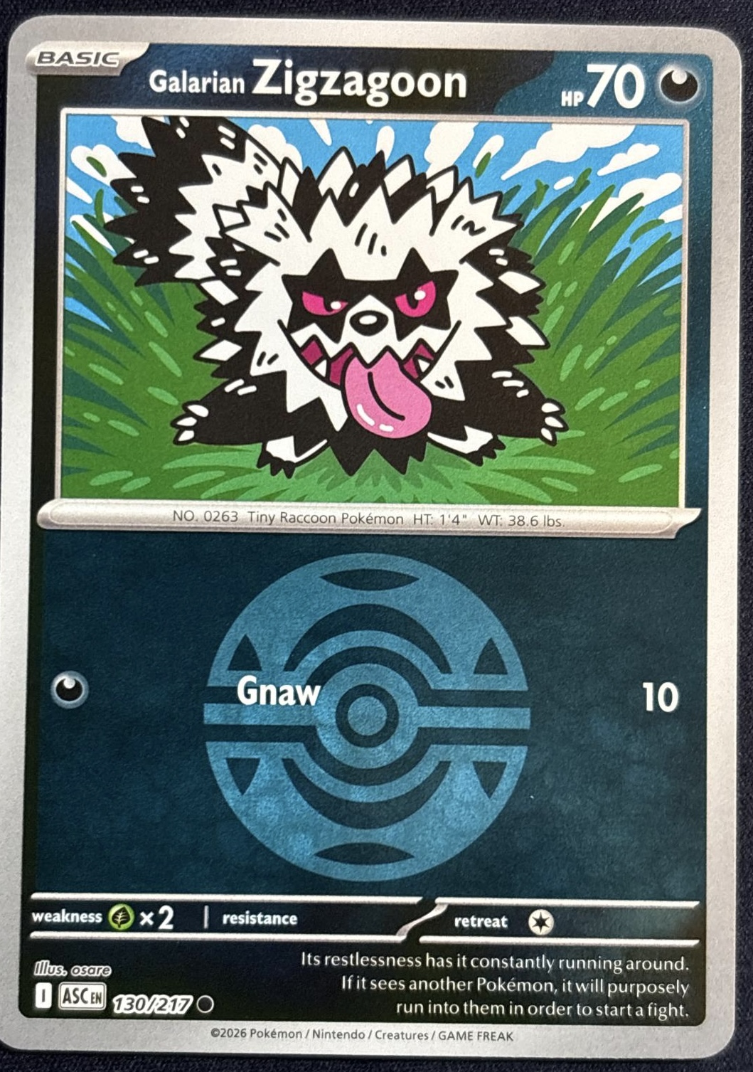 Galarian Zigzagoon [Ball] #130 Pokemon Ascended Heroes