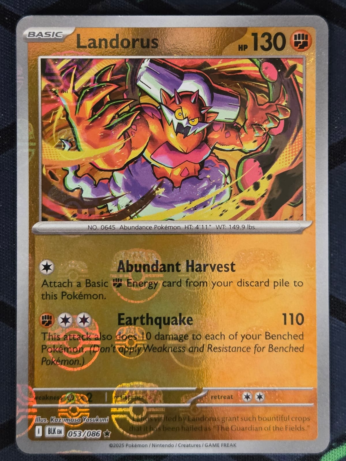 Nombre: Landorus (Master Ball pattern)