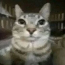 Avatar de usuario