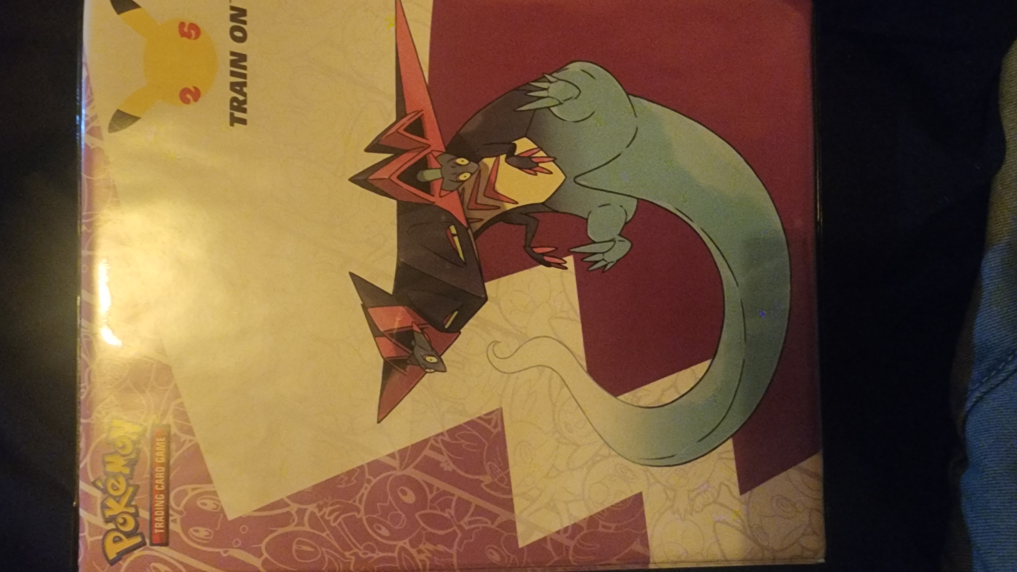 Carpeta dragapul año 2021 