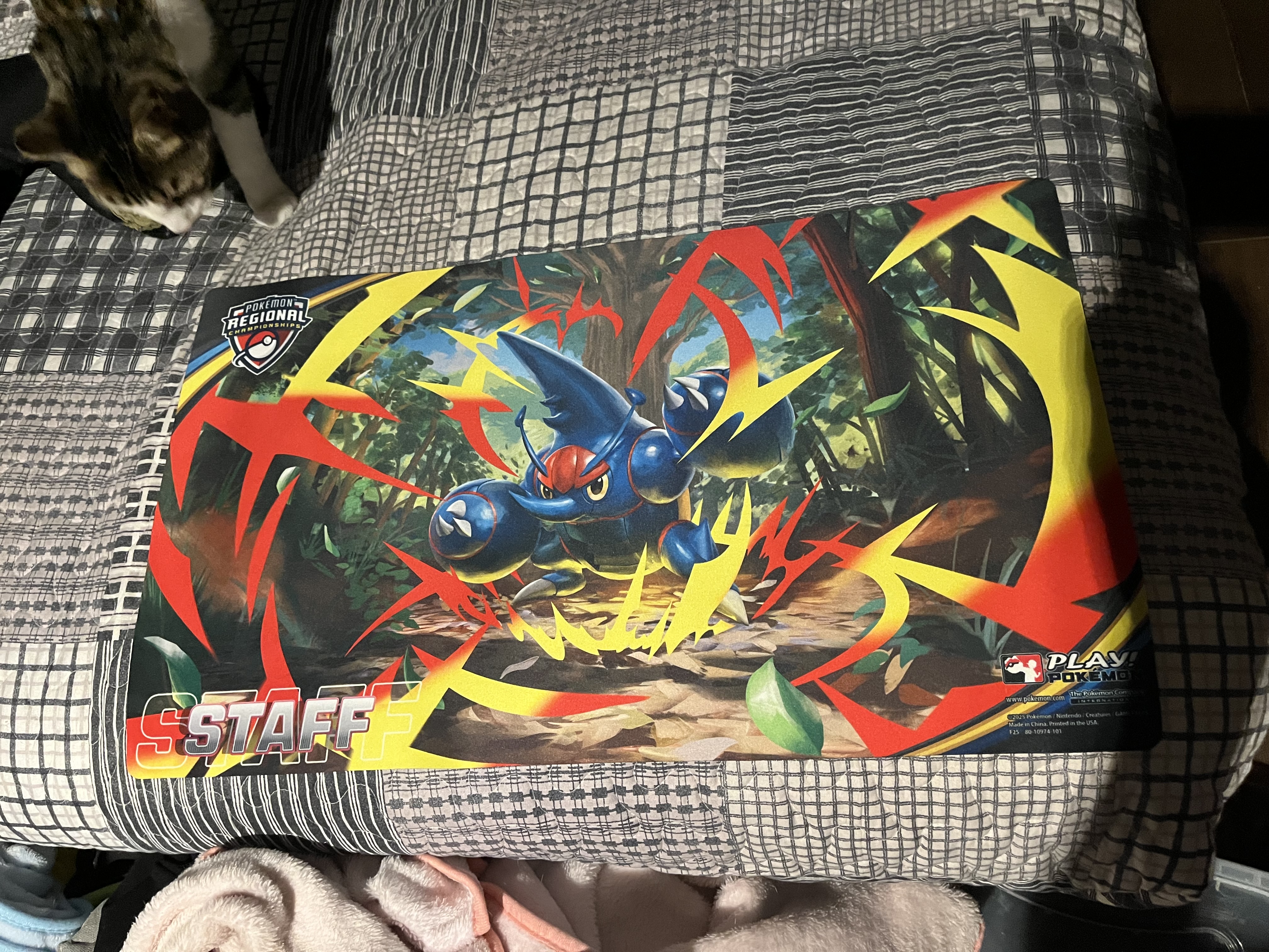 Playmat Staff regional santiago 2026