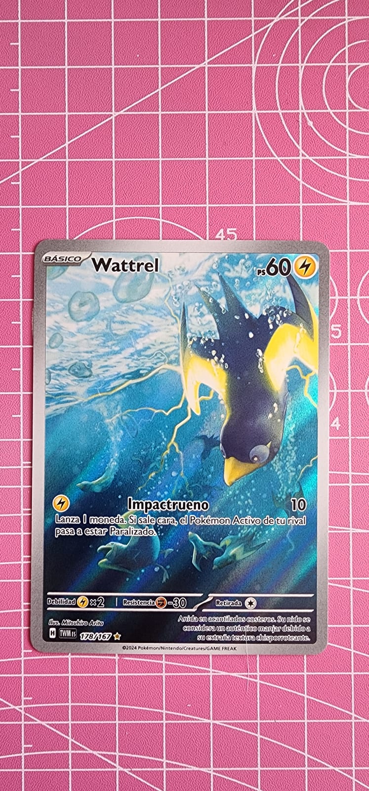 Wattrel - TCGmatch Chile