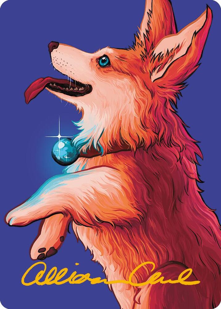 Full Magic