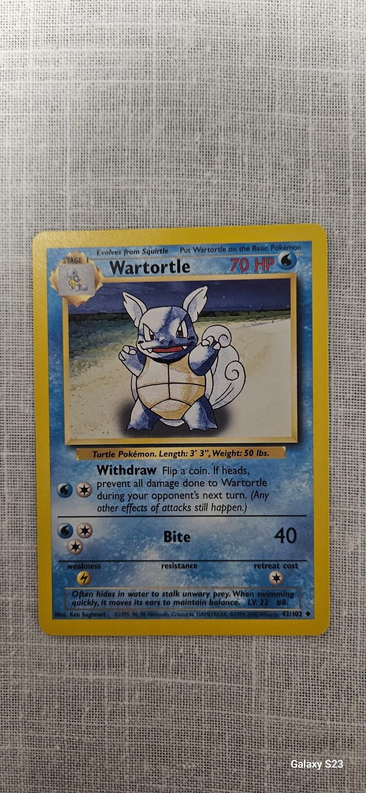 Wartortle - TCGmatch Chile