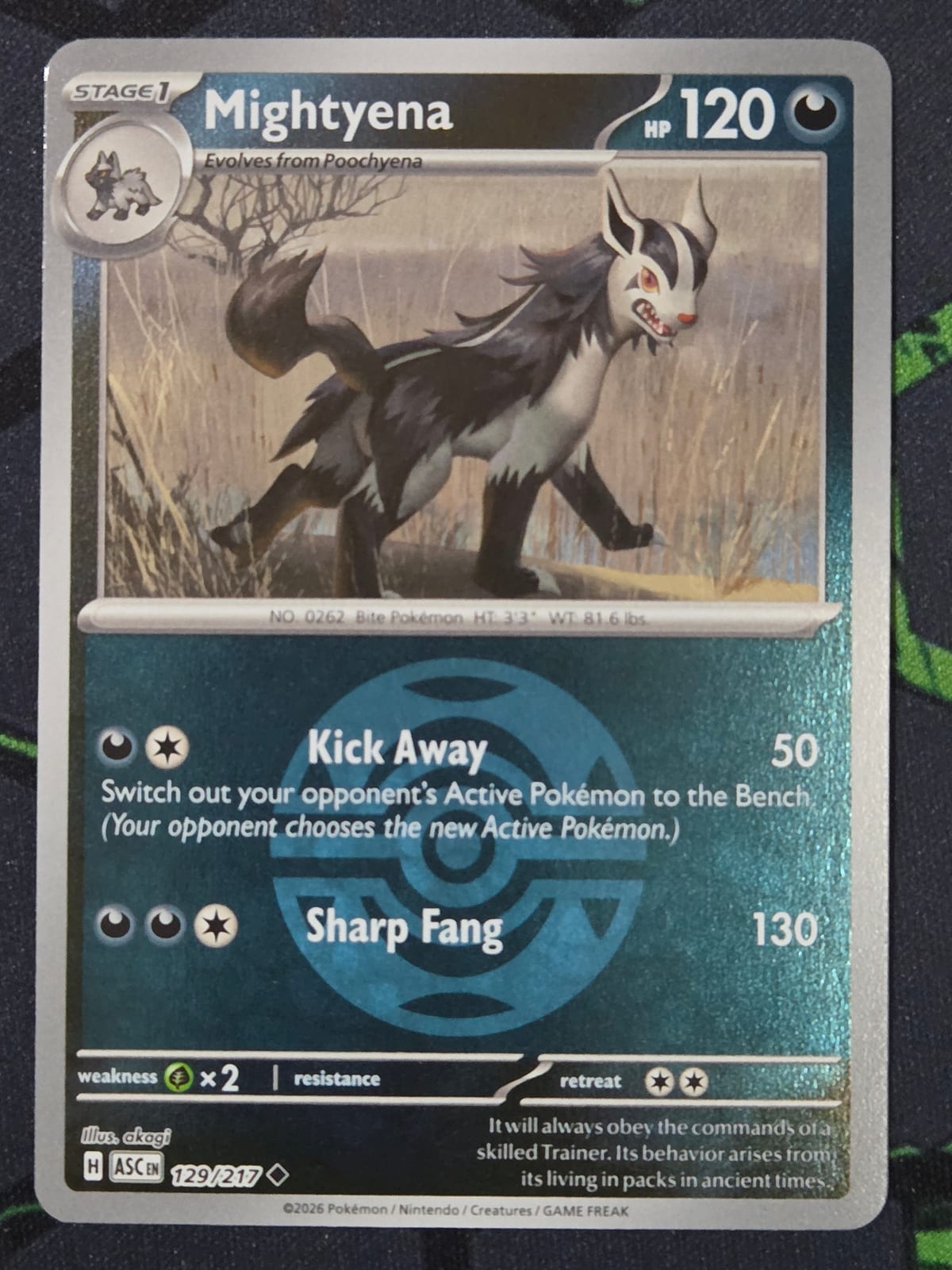 Mightyena (Dusk Ball pattern)