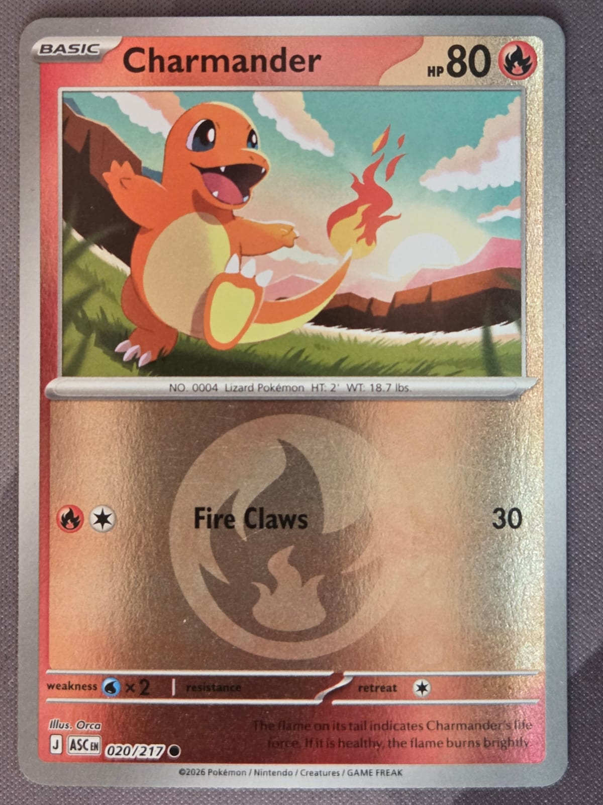 Charmander (Energy Symbol pattern)