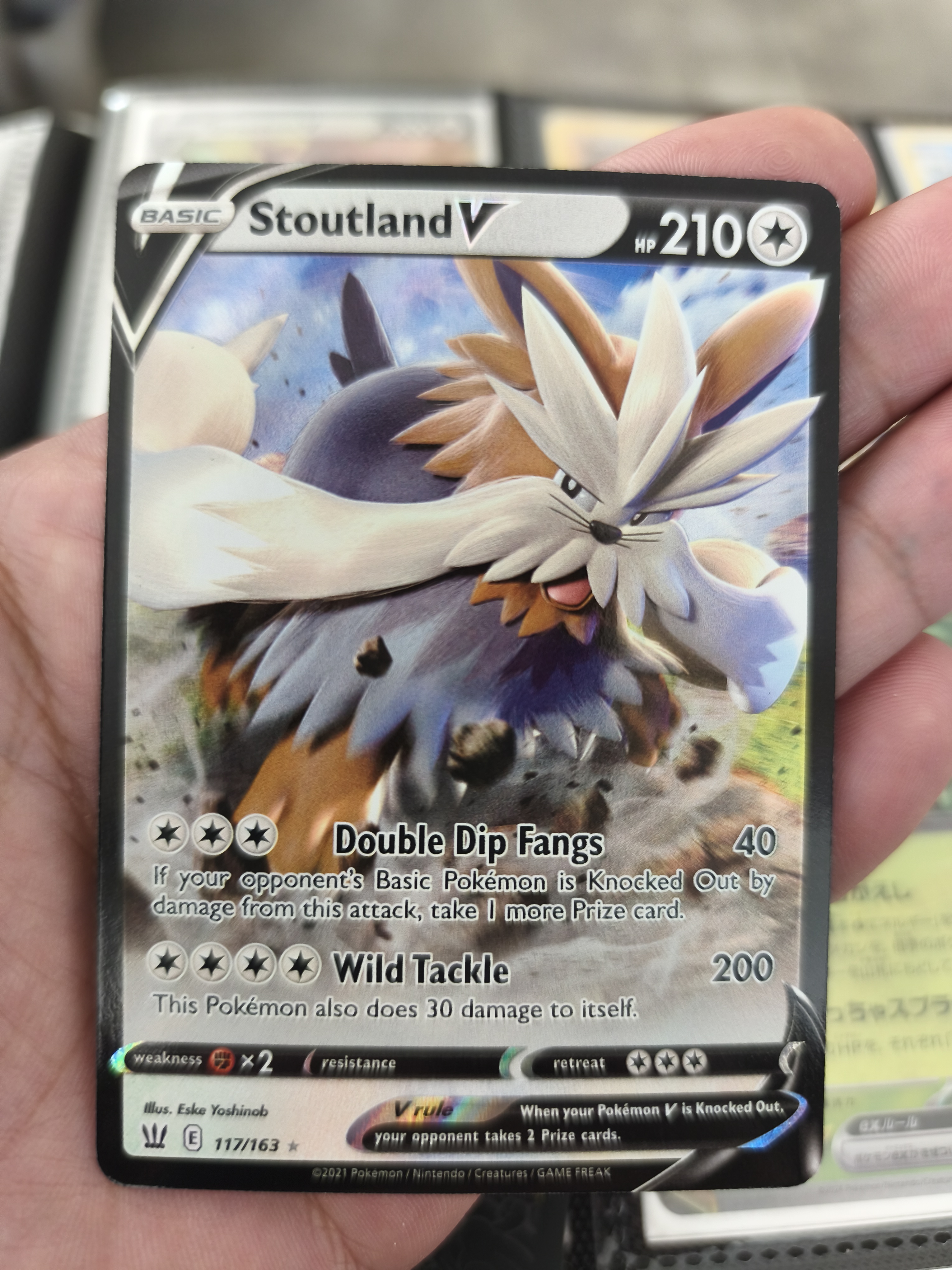 Stoutland V - TCGmatch Chile