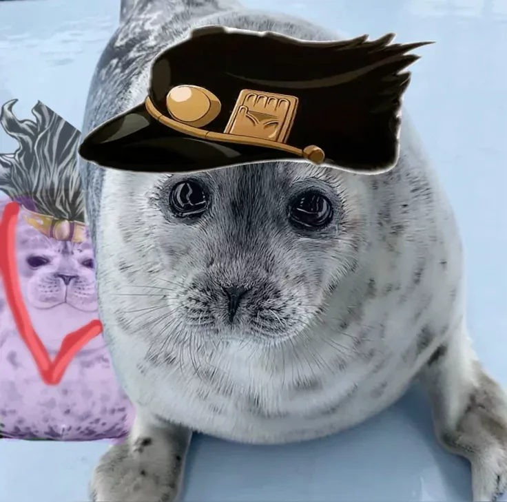 Heidi