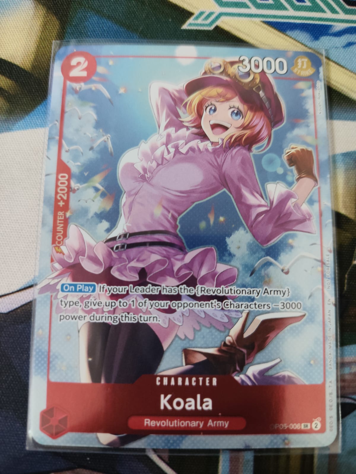 Koala - OP05-006