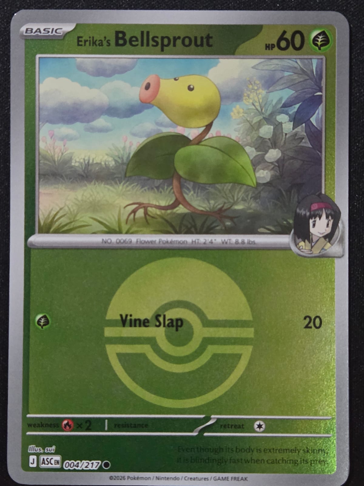Erika's Bellsprout (Pokéball pattern)