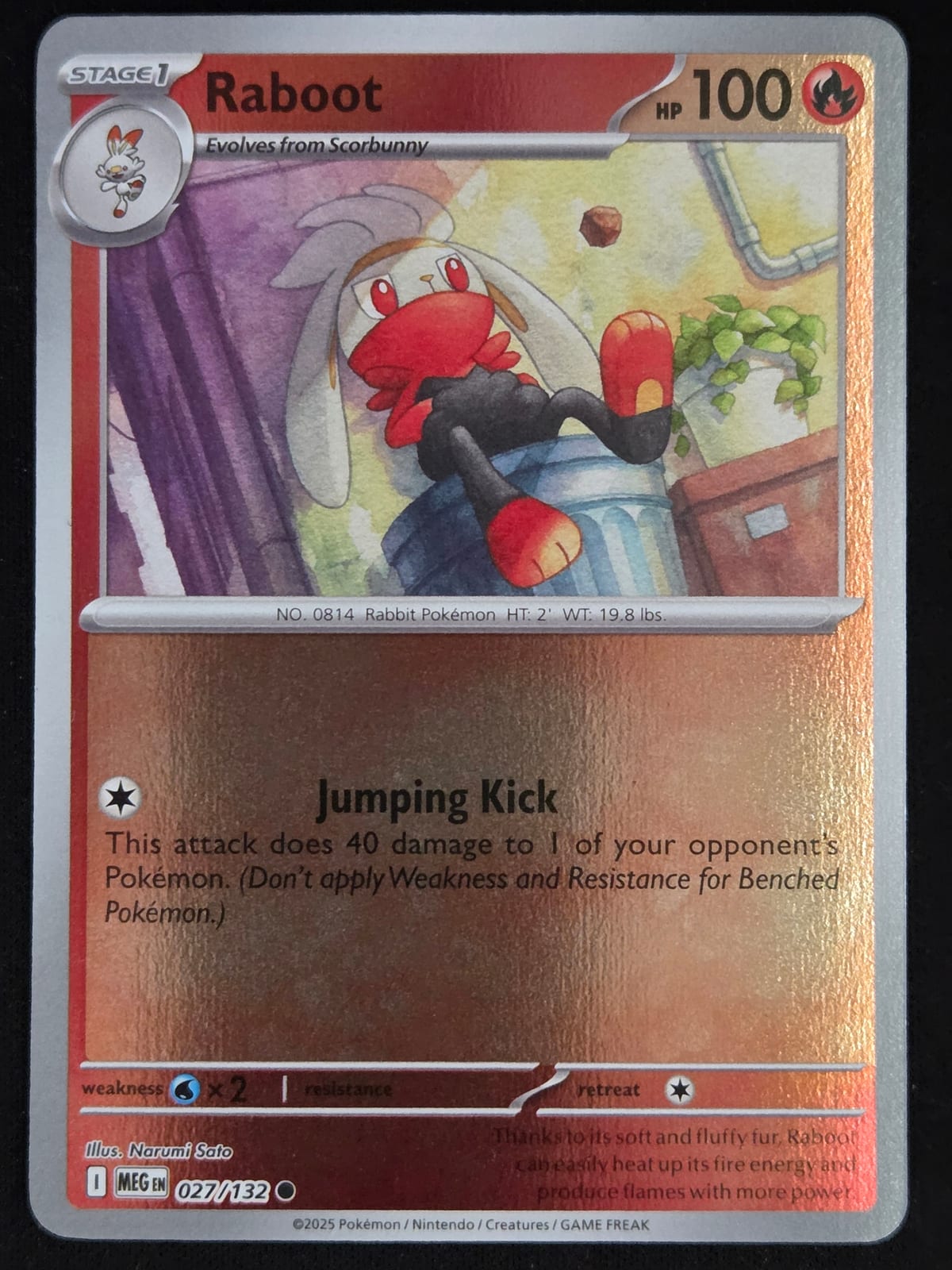 Raboot - TCGmatch Chile