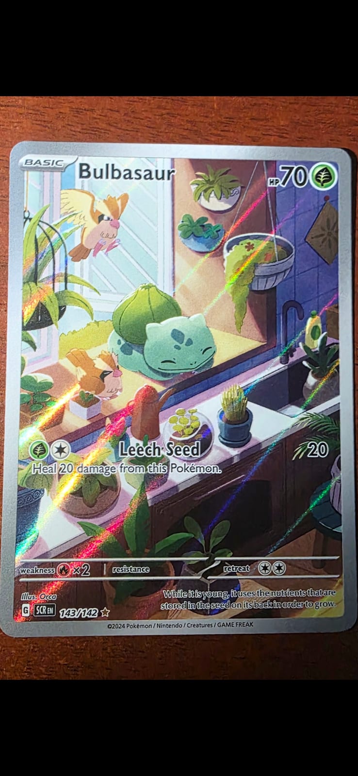 Bulbasaur (Ilustración especial) - 143/142 (Stellar Crown / Corona Astral) Team Rocket's Nidoking ex - 233/182 (Team Rocket Returns / El Retorno del Team Rocket) Iron Crown ex (Arte Alternativo) - 206/162 (Temporal Forces / Fuerzas Temporales) Ethan's Typhlosion - 190/182 (Team Rocket Returns / El Retorno del Team Rocket)