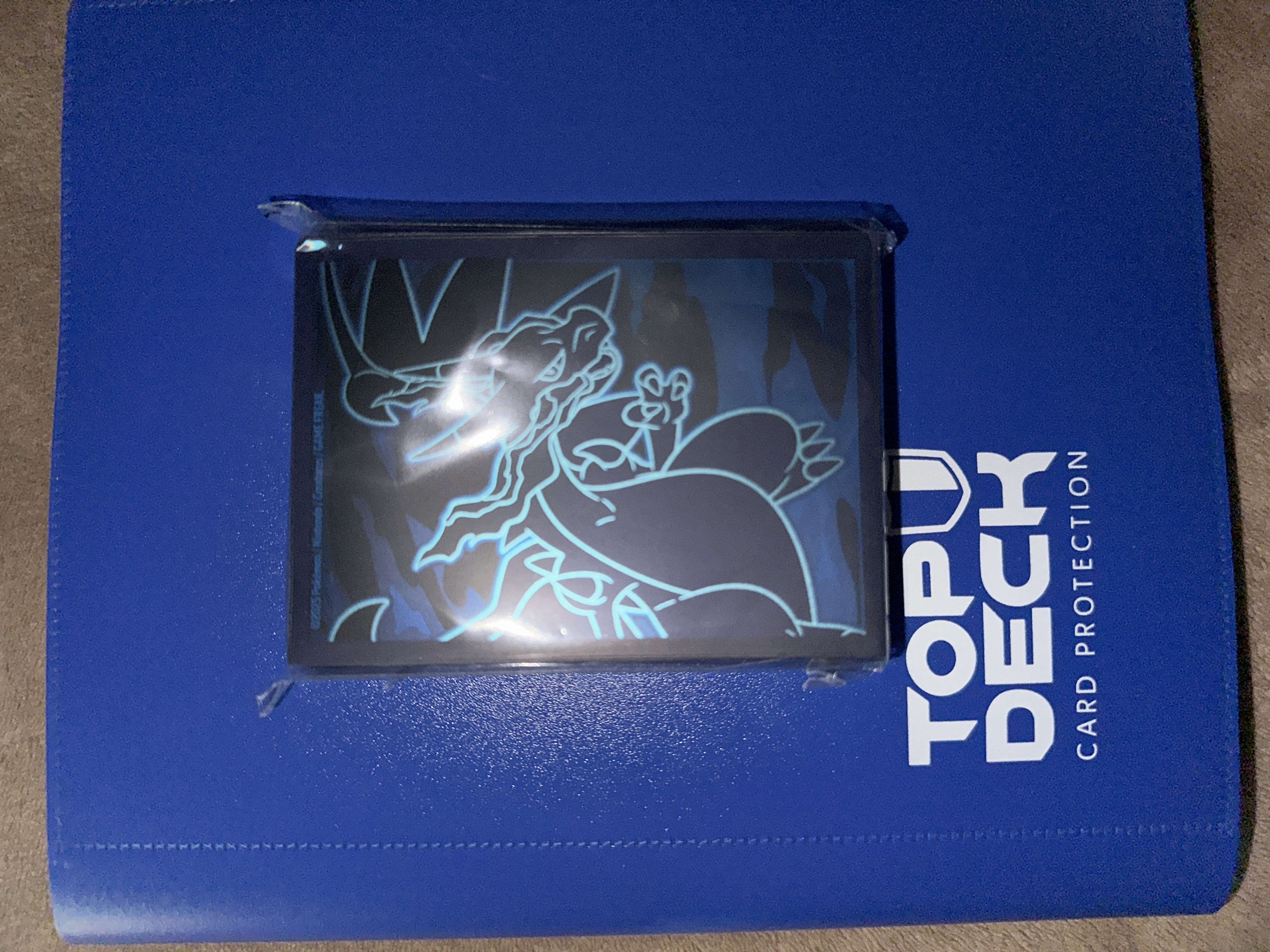 Protectores de cartas 