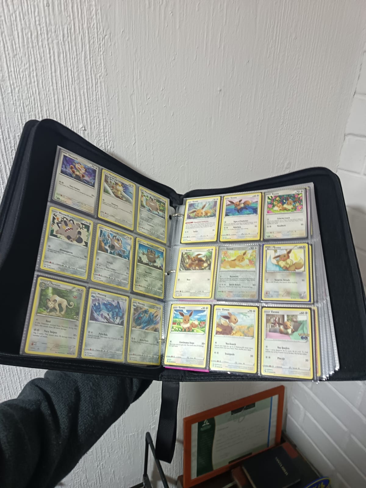 Carpeta TGC