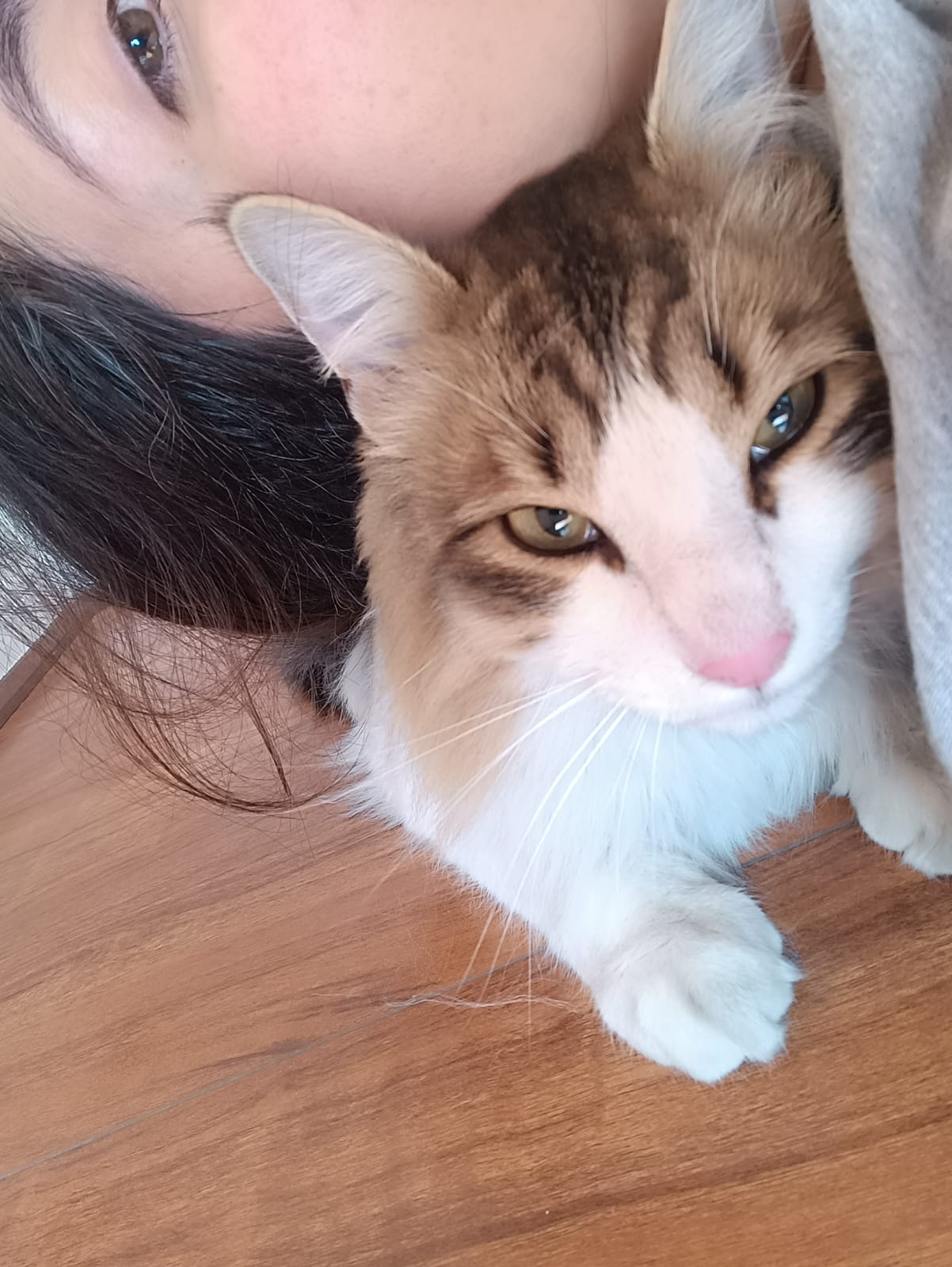 catavasquezm