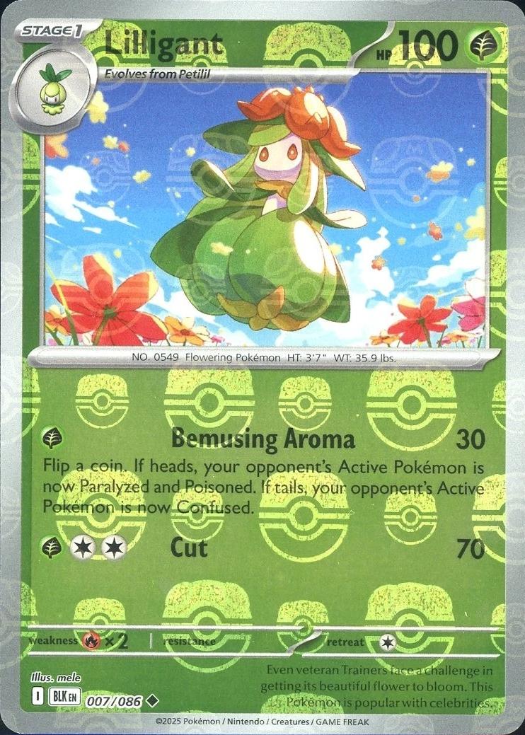 Lilligant (Master Ball Pattern) - SV: Black Bolt