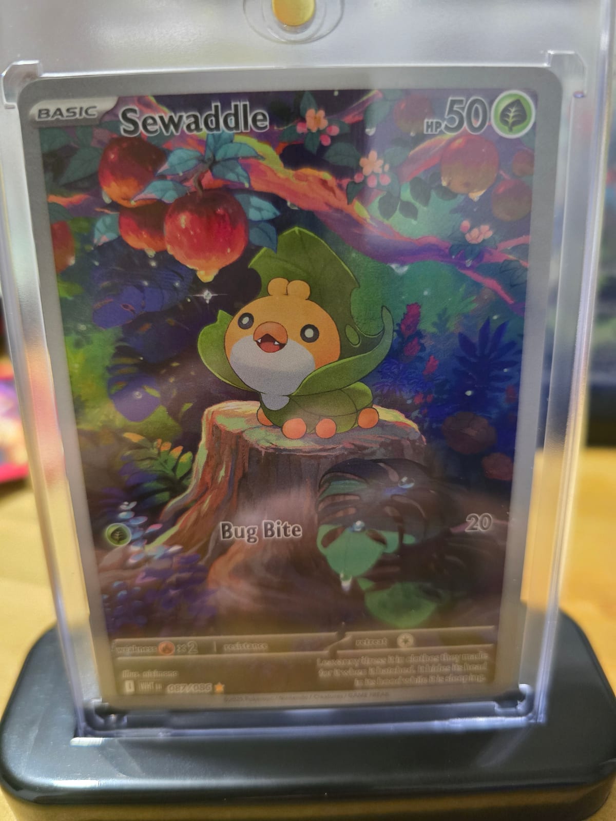 sewaddle pokemon card value Pokemon - Sewaddle (10/113)