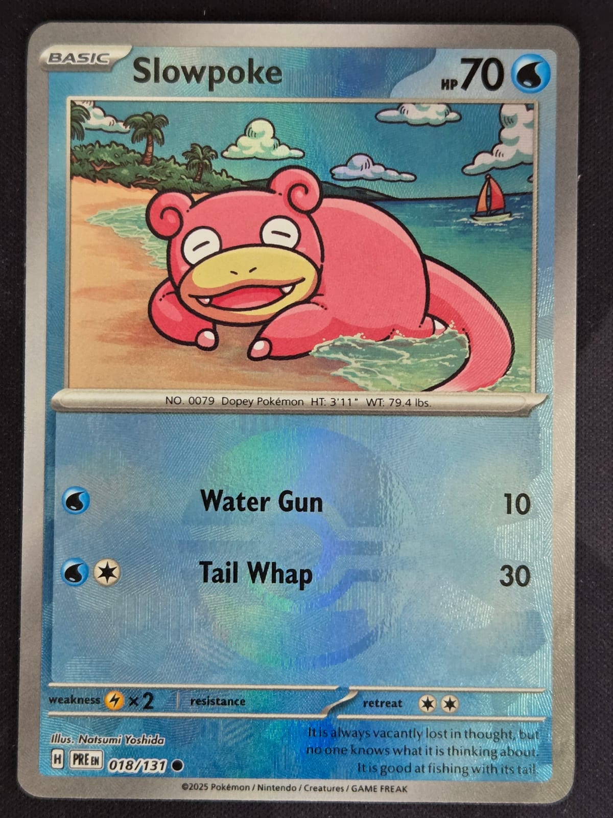Slowpoke (Pokéball pattern)
