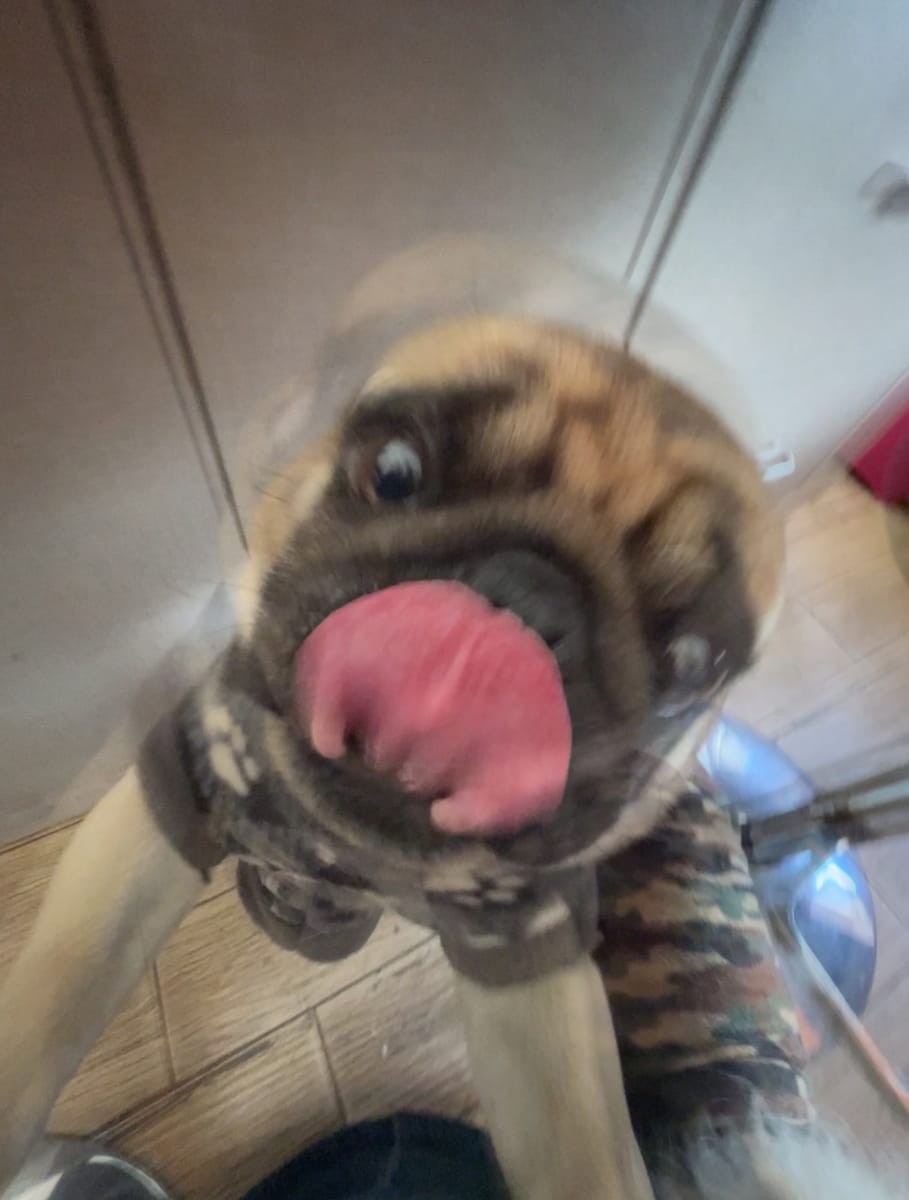 agusmarck17