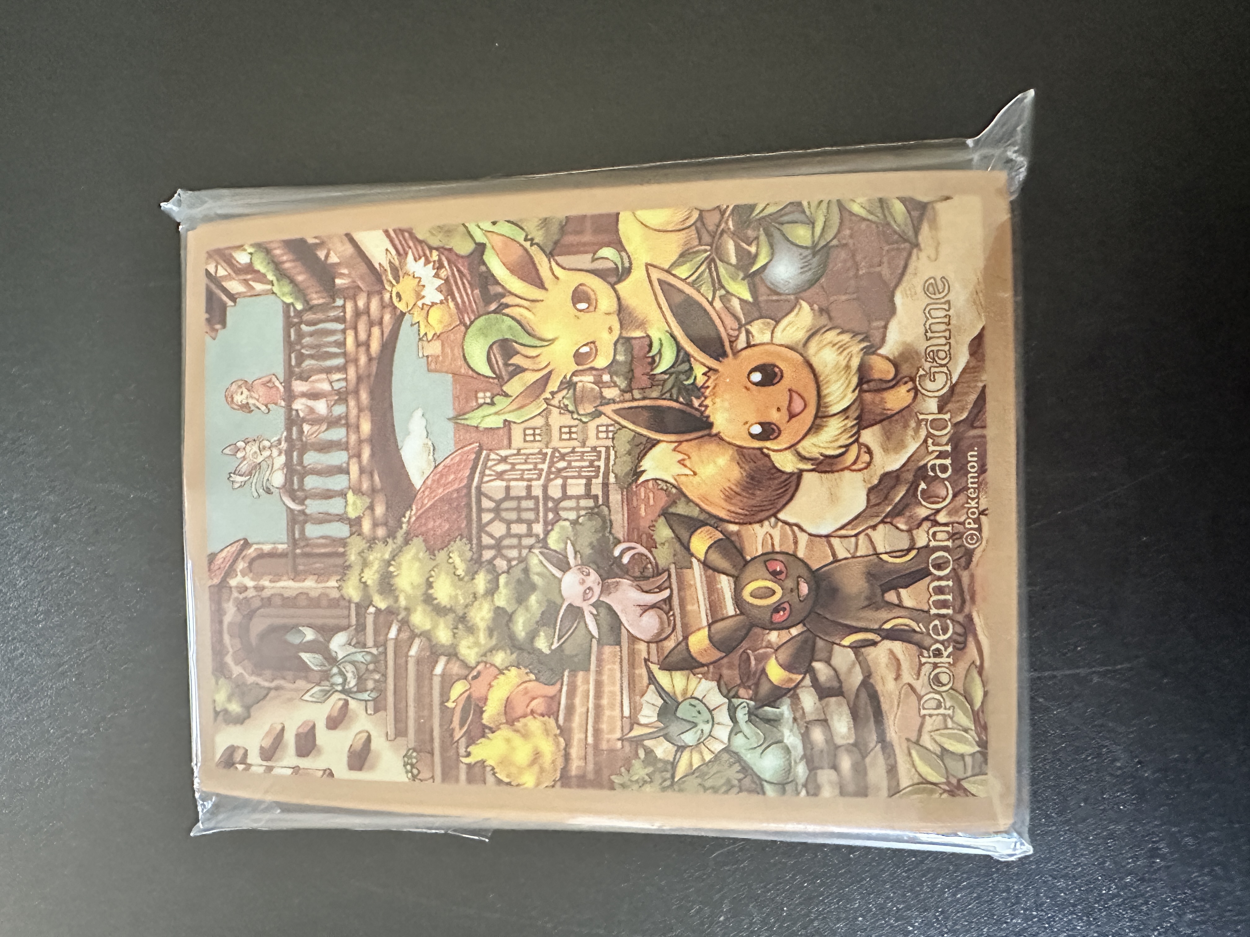 Eevee Heroes Sleeve