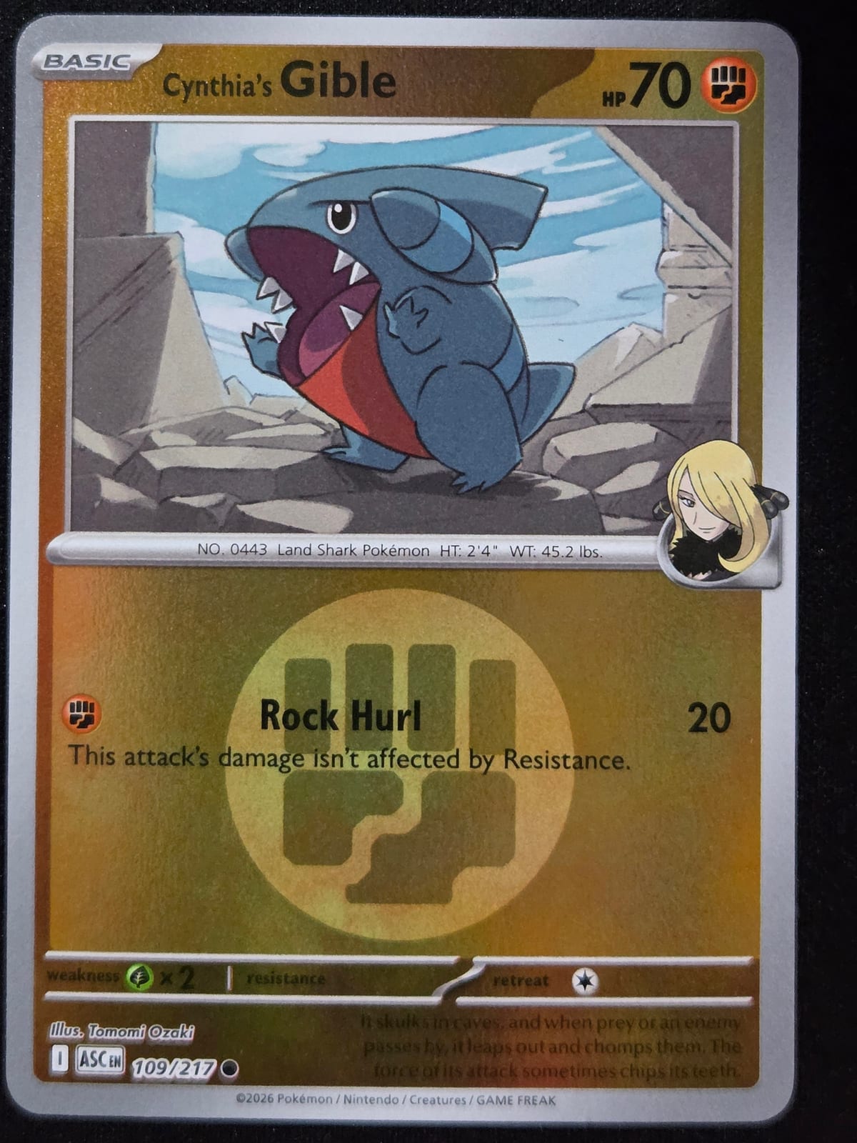 Cynthia's Gible (Energy Symbol pattern)