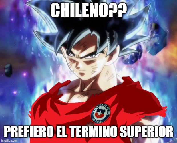 rvega3379