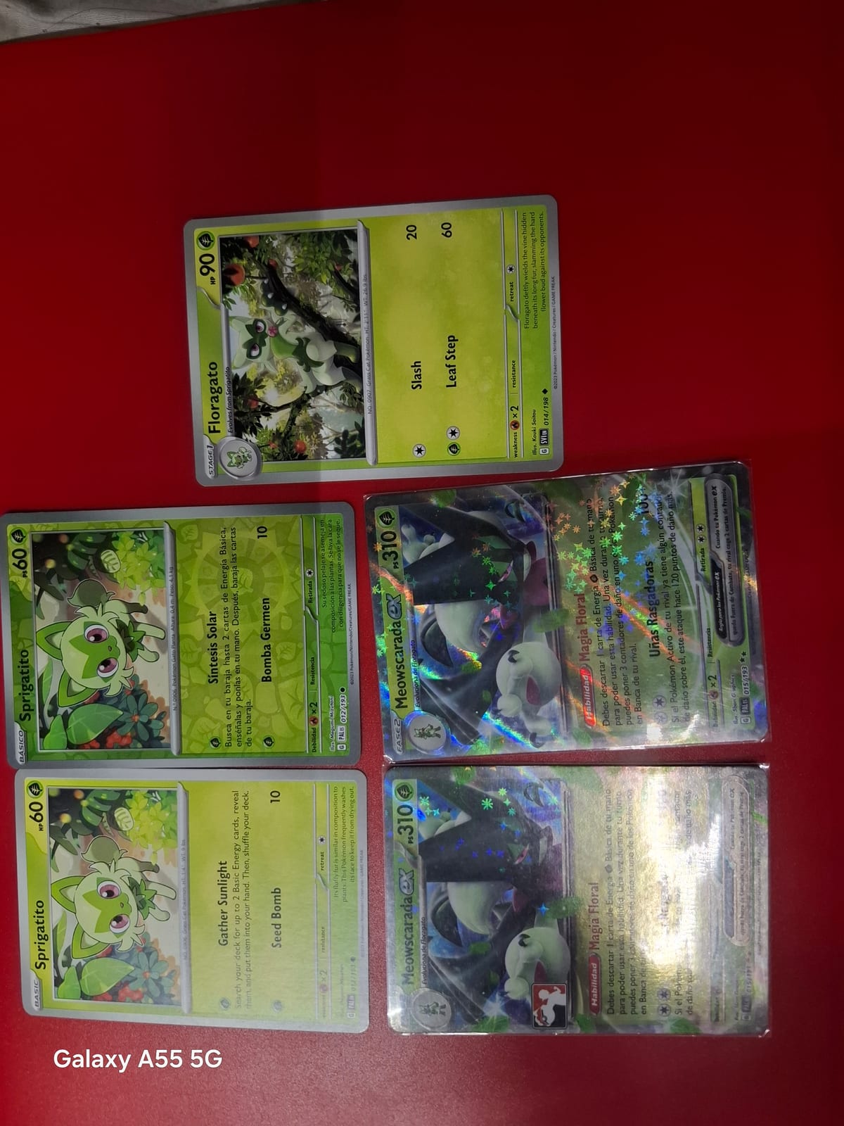 Pack meowscarada ex