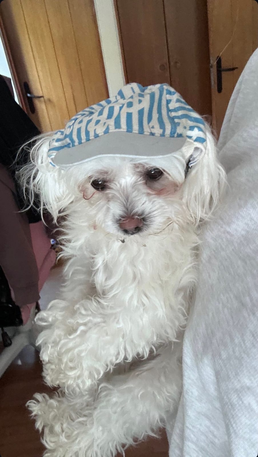 Matilda Chellew Bull