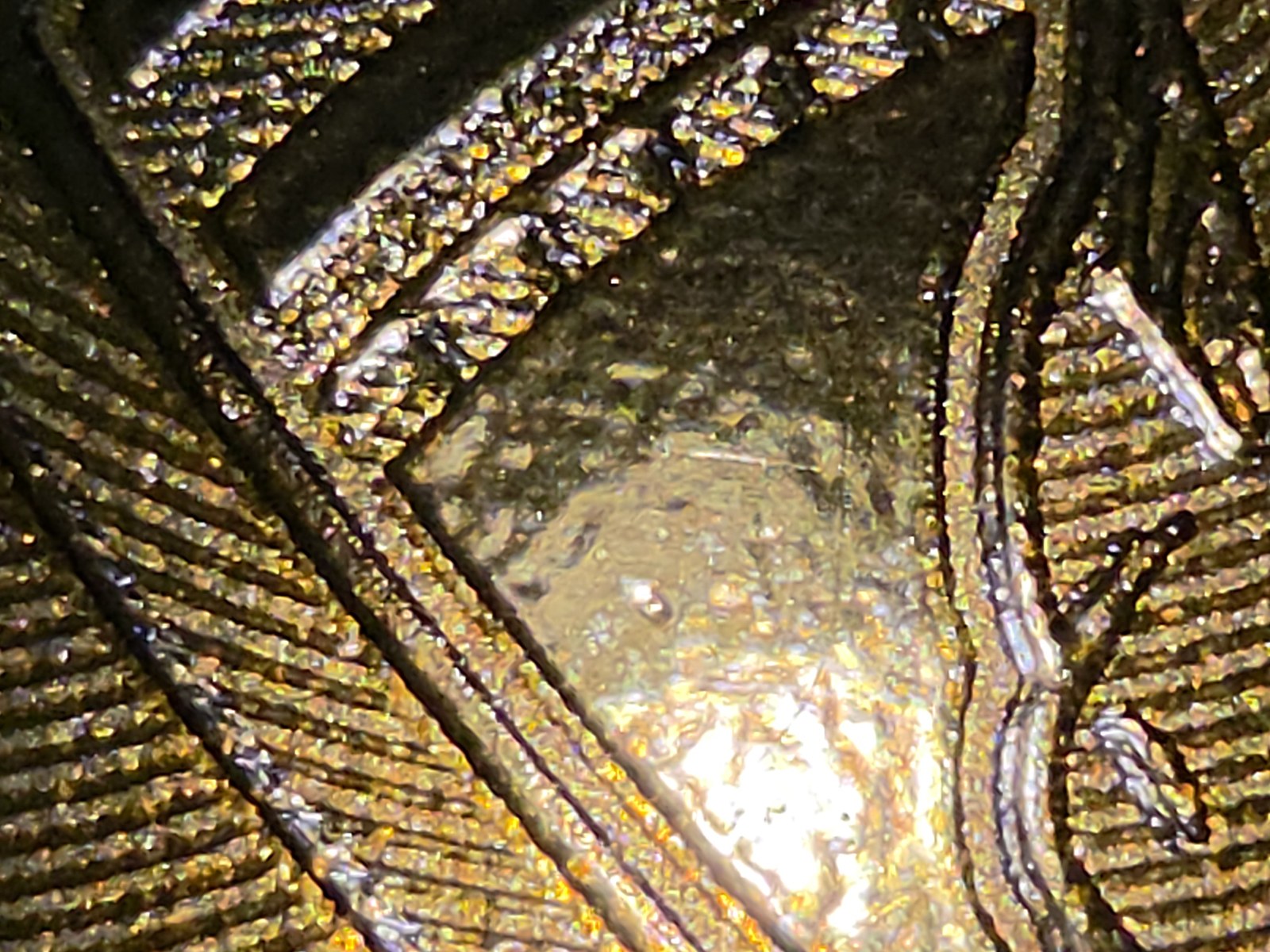 The small indentation above the head, first of two shots.
