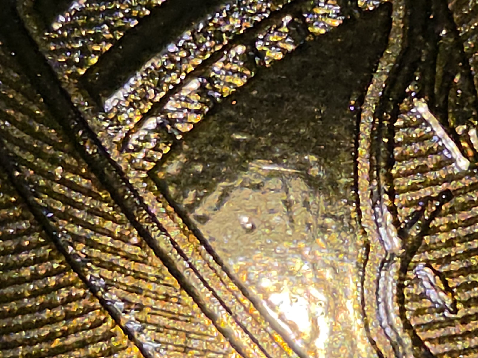 The same indentation, second shot.