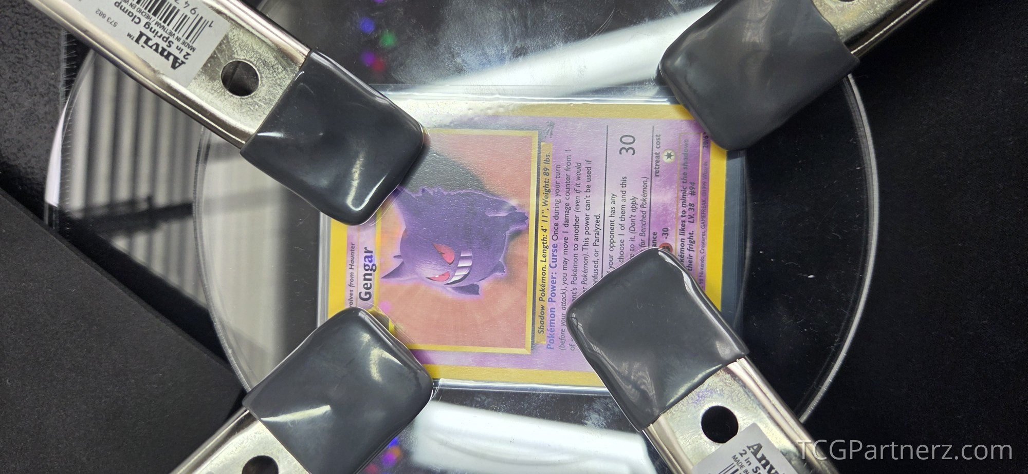 case photo 20