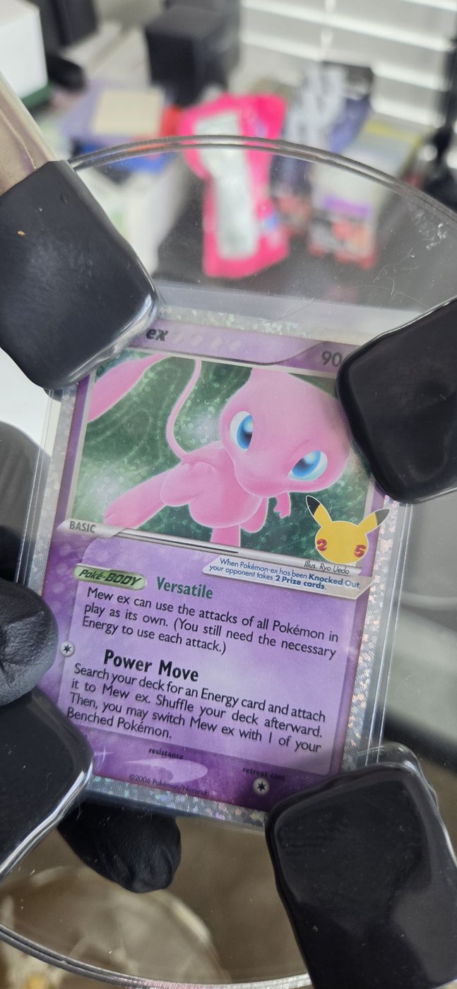 case photo 8