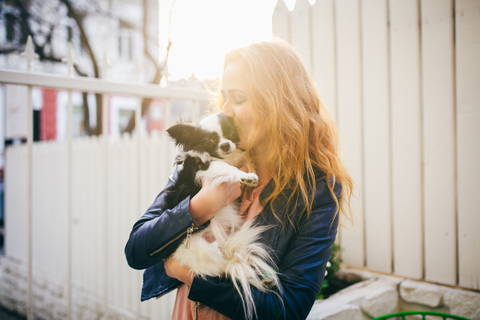 犬の散歩に抱っこは意味がない 歩かない犬との散歩について Uchinoco うちの子