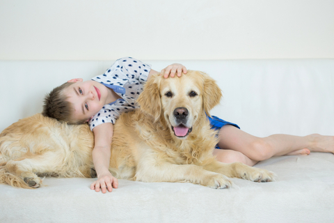 知っていますか 雄犬が良くするマウンティングの意味と対策について Uchinoco うちの子