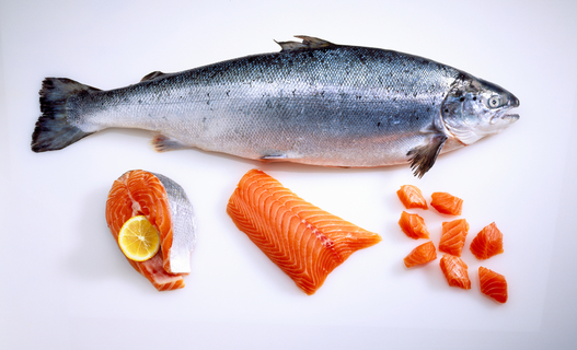 犬が食べても良い魚 ダメな魚をご紹介 Uchinoco うちの子