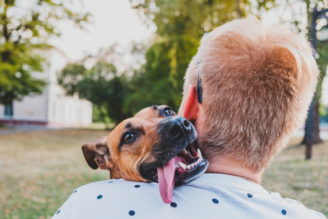 実は知らない 犬の正しい抱っこの仕方を覚えよう Uchinoco うちの子