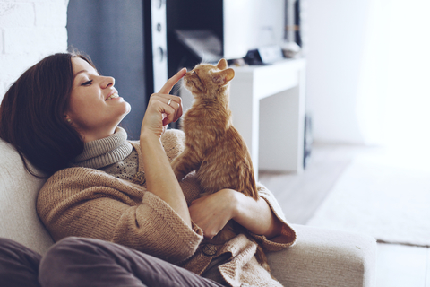 日本で人気の猫ランキングtop5 それぞれの特徴と性格をご紹介 Uchinoco うちの子