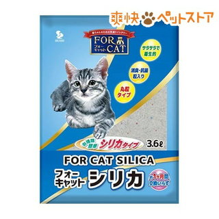 猫砂はどれが良い？シリカゲルの猫砂を紹介 | UCHINOCO ＜うちの子＞