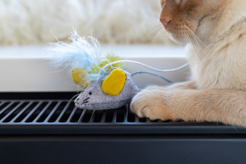 猫用手作りおもちゃ 簡単に作れるおすすめおもちゃを紹介します Uchinoco うちの子