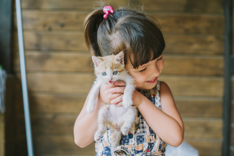 雌猫はお父さんに懐く 雌猫は男の人が好き説に迫る Uchinoco うちの子