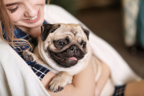 もしかしてその名前はタブー 犬につけてはいけない名前とは Uchinoco うちの子