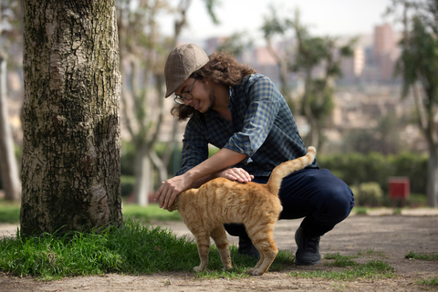 猫の尻尾の付け根って触っていいの Uchinoco うちの子