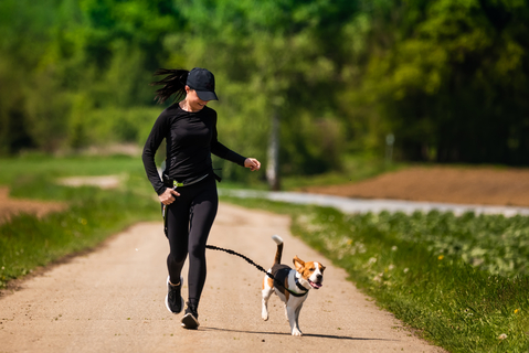 犬が散歩を怖がる時の原因や対処法 Uchinoco うちの子