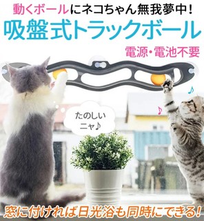 猫が豹変 おもちゃをくわえて唸る理由とは Uchinoco うちの子