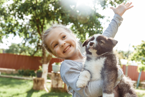 犬の散歩に抱っこは意味がない 歩かない犬との散歩について Uchinoco うちの子