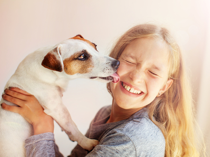 犬が飼い主の顔をなめる理由とは 愛情表現以外のサインも Uchinoco うちの子