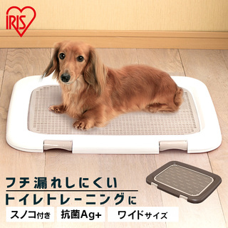 犬がトイレシートを食べた 対処法や対策グッズをご紹介 Uchinoco うちの子